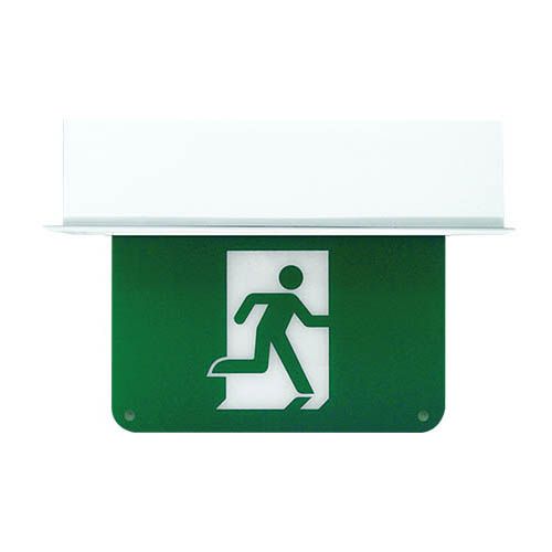 guida-plus-rm_7a8441bf44